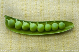 豌豆