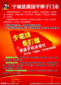 种子DM单