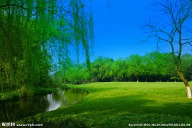 西湖美景