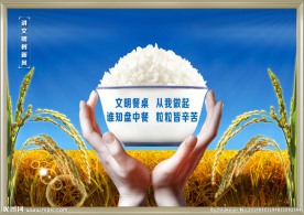 节约粮食