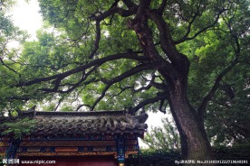 古建风光
