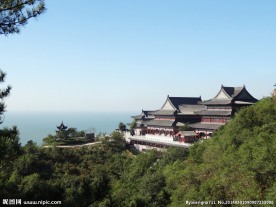 半山腰风景