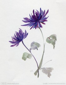 水彩花卉