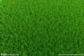 草地
