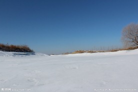 雪原