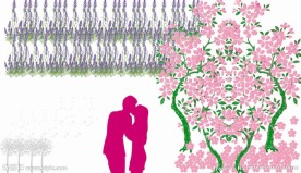 樱花梦
