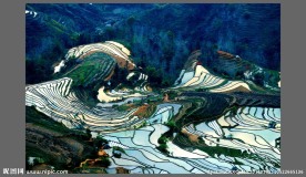 元阳梯田春色