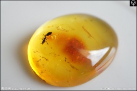 泓霖 波罗的海虫珀