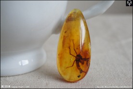 泓霖 波罗的海虫珀