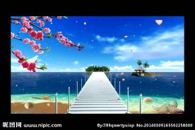 海岸花朵码头视频