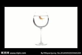 金鱼酒杯视频