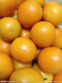 金桔 水果