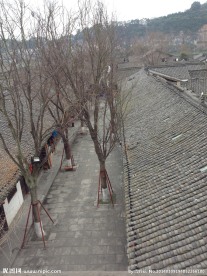 道路