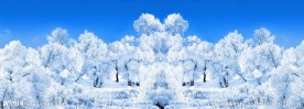 冬季雪景