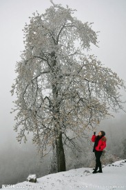冰雪