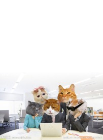 猫头人