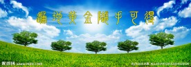 遍地黄金