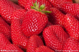草莓