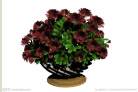 鲜花模型