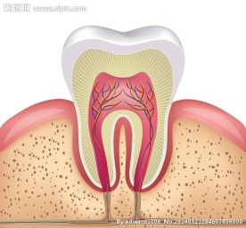 牙齿牙医牙科口腔