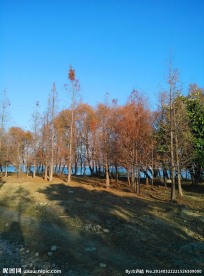 海舌公园