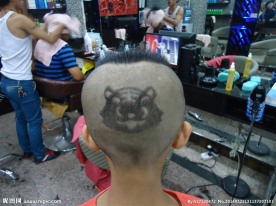 美发 时尚发型 动物