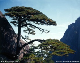 山川风景