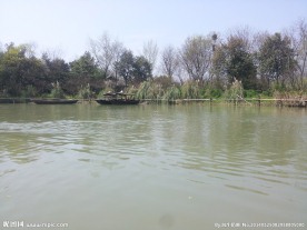 西溪湿地