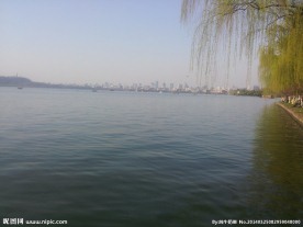 西溪湿地