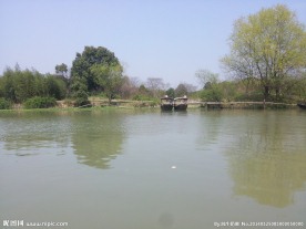 西溪湿地