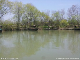 西溪湿地