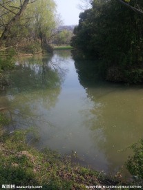 西溪湿地 湖泊 河流