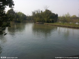 西溪湿地 湖泊 河流