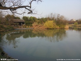 西溪湿地 湖泊 河流