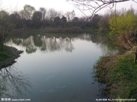 西溪湿地 湖泊 河流