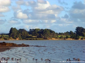 新西兰海滨风景