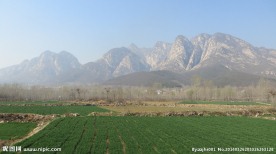 少室山春景