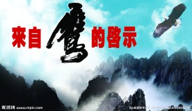 来自鹰的启示