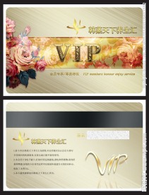 韩蒸天下 美容VIP