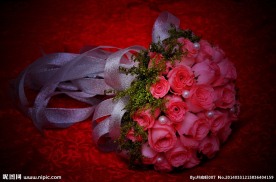玫瑰花