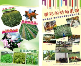 春游 宣传单