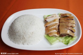 白切鸡饭