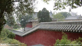 崇福宫风景