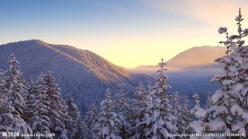 雾凇雪景夕阳