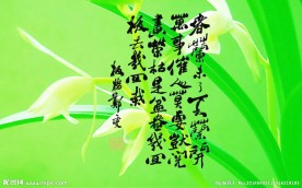 郑板桥题盆兰依蕙图