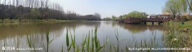 顾村公园