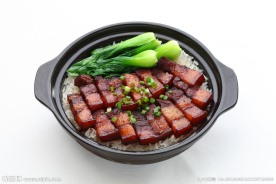香晥功夫煲仔红烧肉煲