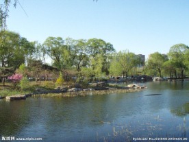 玉渊潭公园风光