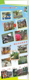儿童 X展架