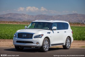 英菲尼迪QX80